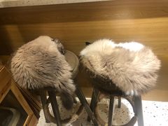 -滚猫咖啡·猫咖·猫友好撸猫(未来城店)