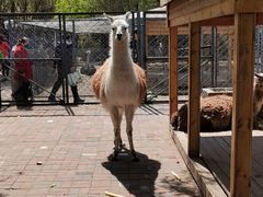 -长白岛森林公园