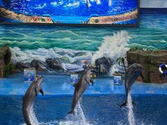 -多彩贵州城极地海洋世界