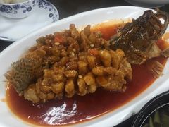 松鼠桂鱼-协和菜馆(凤凰街店)