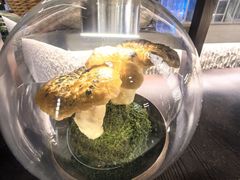 -芸山季·云南野生菌火锅(人民广场来福士店)