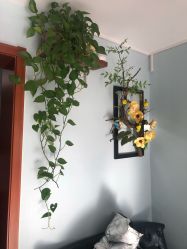 -飞雨言美容美发