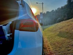 -铁山坪森林公园