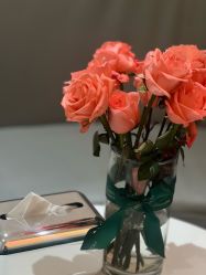 -薇薇安花系SPA