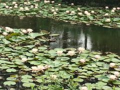 -艾溪湖湿地公园