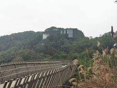 -福道