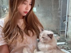 -猫咪派对(江南西店)