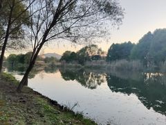 -长广溪湿地公园