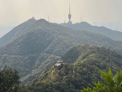 -梧桐山风景名胜区