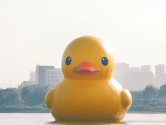 -深圳人才公园