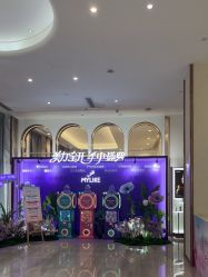 -深圳美莱医疗美容医院