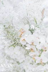 -WOW Wedding婚礼定制