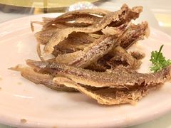特色野生烤仔鱼-上海精菜馆(虎踞关店)
