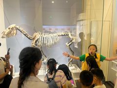 -国家自然博物馆