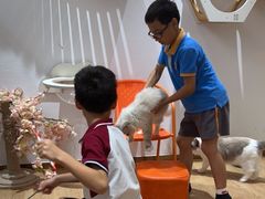 -1013 PET SHOP精品宠物商店(丁香店)