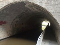 -白水寺森林公园
