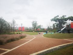 -九龙湖公园