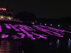 -大塘金香草谷