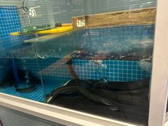 -金家炭火烤肉烤鳗鱼(环球中心店)