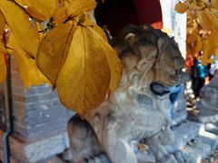 -红螺寺