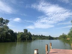 -白鹭湾湿地公园