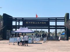 -杭州湾海上花田景区