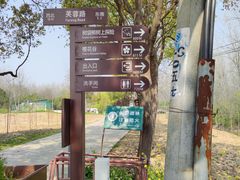 -合肥滨湖国家森林公园