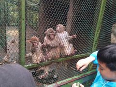 -藏龙百瀑风景区