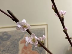-盒马鲜生(新都心店)