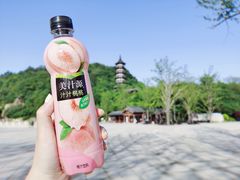-牛首山文化旅游区