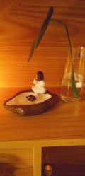 -素可SPA