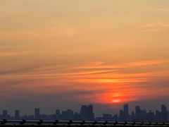 -合肥滨湖国家森林公园