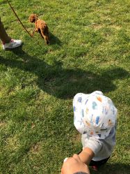 -萌宠亲子动物乐园(槐房万达店)