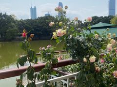 -人民公园(罗湖区)