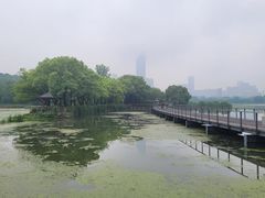 -月湖风景区