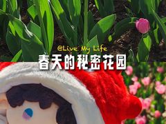 -沈阳植物园