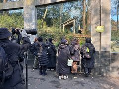 -中国大熊猫保护研究中心雅安碧峰峡基地