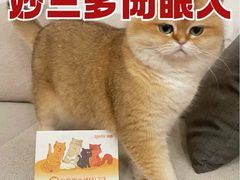 -千城康桥宠物医院·猫科·骨科·心脏