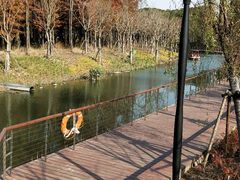-上海浦江郊野公园-2号停车场