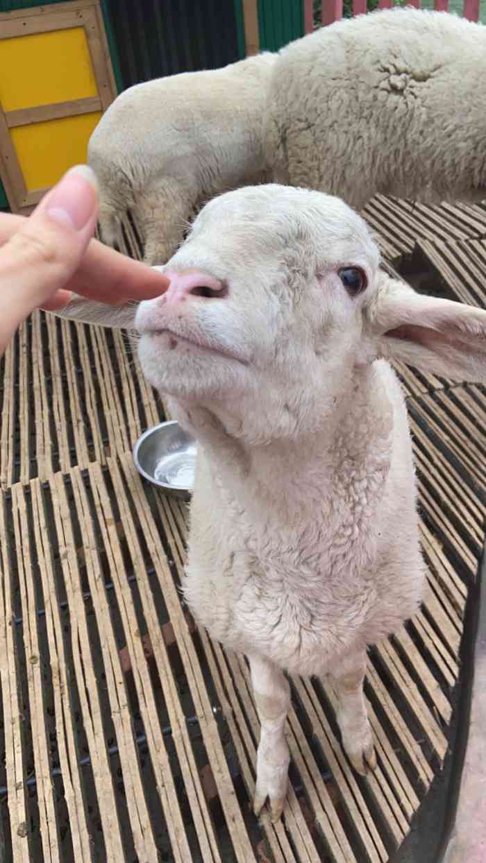 姐妹想玩的剧情本临时约上的深夜本8点开始整整玩