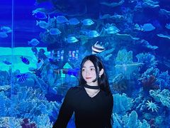 -左海海底世界
