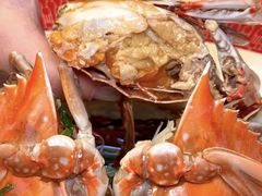 -小厨师·二十年沈家门小海鲜(百井坊巷店)