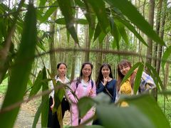 -广州市石门国家森林公园