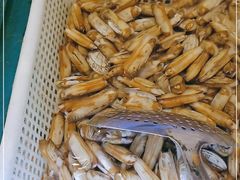 -鲜味食族水产·海鲜餐厅