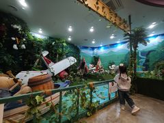 -济州岛泰迪熊博物馆