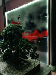 -盘子女人坊古装写真摄影(南京总店)