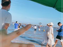 -碧海金沙