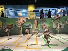 -国家自然博物馆