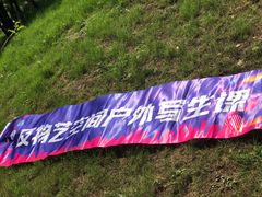 -大塘金香草谷