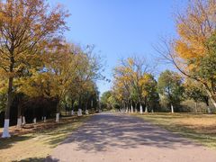 -盘龙城国家考古遗址公园